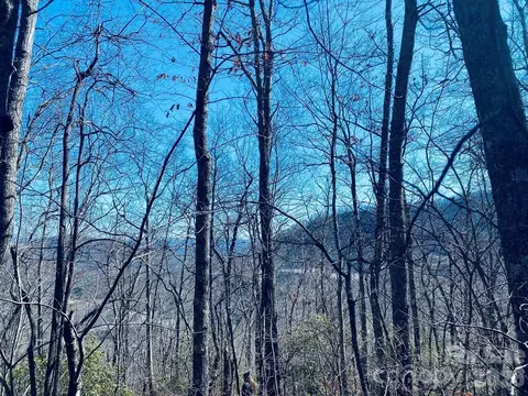 Red Hawk Bluff, Sylva, NC 28779 photo 15