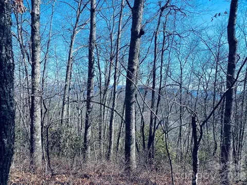 Red Hawk Bluff, Sylva, NC 28779 photo 22
