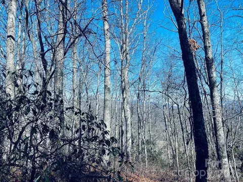Red Hawk Bluff, Sylva, NC 28779 photo 19