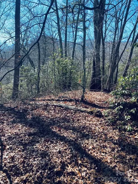 Red Hawk Bluff, Sylva, NC 28779 photo 6