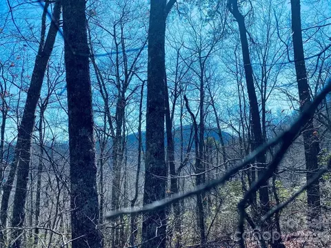 Red Hawk Bluff, Sylva, NC 28779 photo 14
