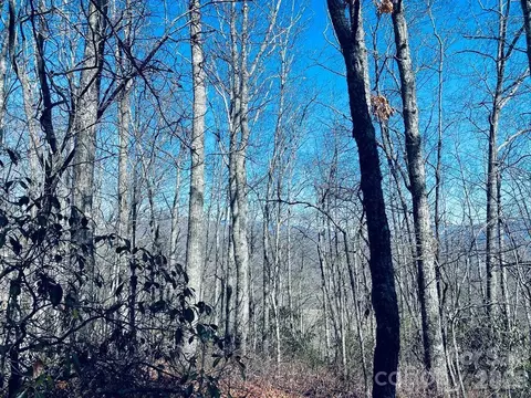Red Hawk Bluff, Sylva, NC 28779 photo 20