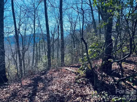 Red Hawk Bluff, Sylva, NC 28779 photo 5