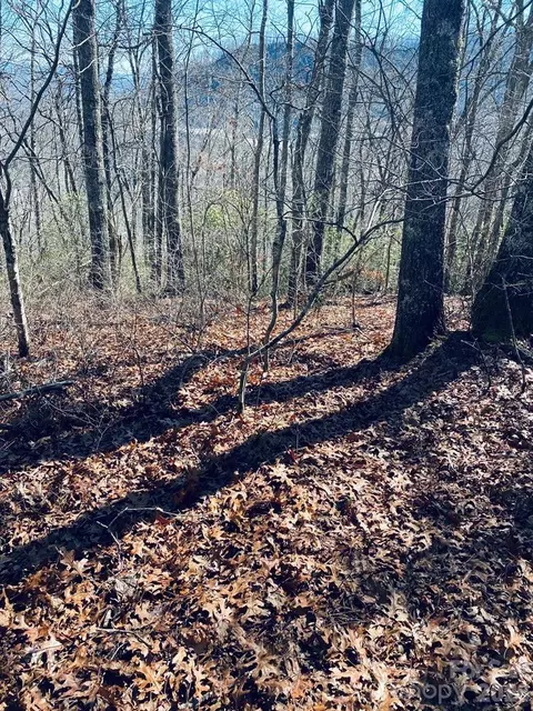 Red Hawk Bluff, Sylva, NC 28779 photo 7
