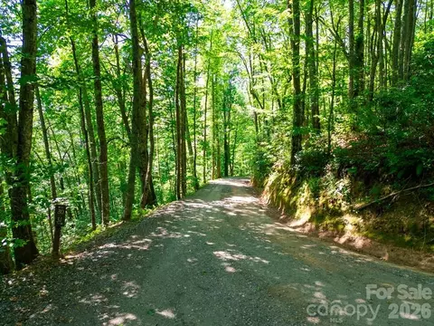 Red Hawk Bluff, Sylva, NC 28779 photo 11