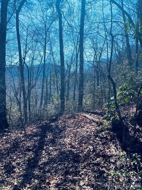 Red Hawk Bluff, Sylva, NC 28779 photo 8
