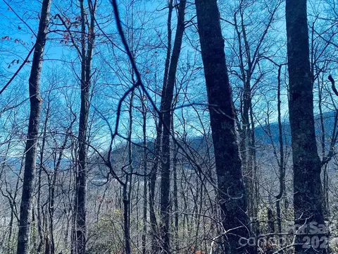 Red Hawk Bluff, Sylva, NC 28779 photo 16