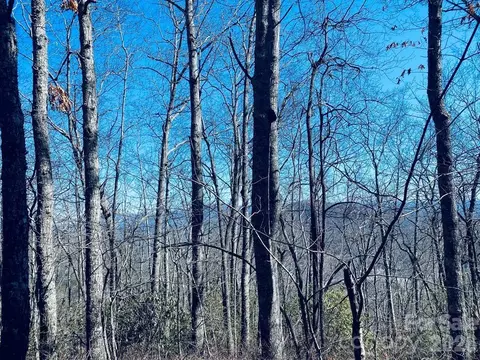 Red Hawk Bluff, Sylva, NC 28779 photo 17