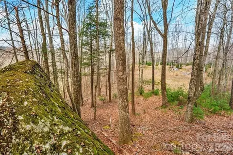 Denney Wood Road, Sugar Grove, NC 28679