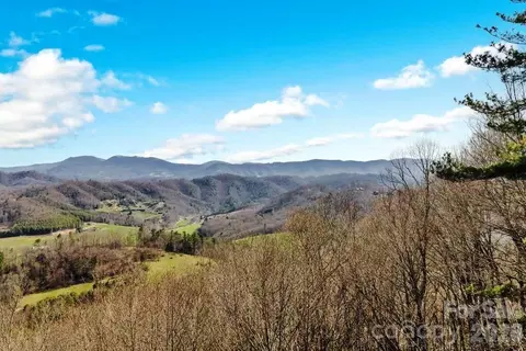 Rominger Road, Sugar Grove, NC 28679
