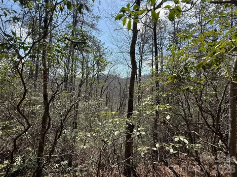00 Line Runner Ridge Rd, Rosman, NC 28722