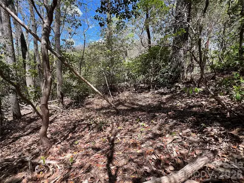 99999 Summer Haven Rd, Swannanoa, NC 28778