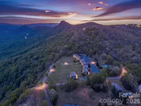 2881 White Oak Mountain A 9 Rd #A 9, Columbus, NC 28722