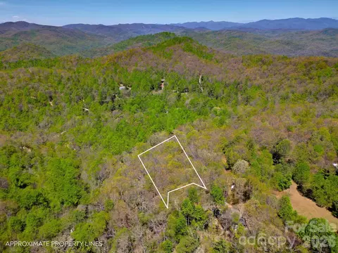 99999 Laurel Dr, Black Mountain, NC 28711