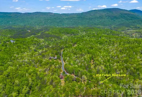 View/Area - 454 Fallen Tree Ln, Mill Spring, NC 28756 photo 1 of 3