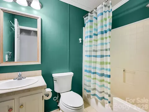 Bath - 119 Laurel Haven Rd, Fairview, NC 28730 photo 3 of 3