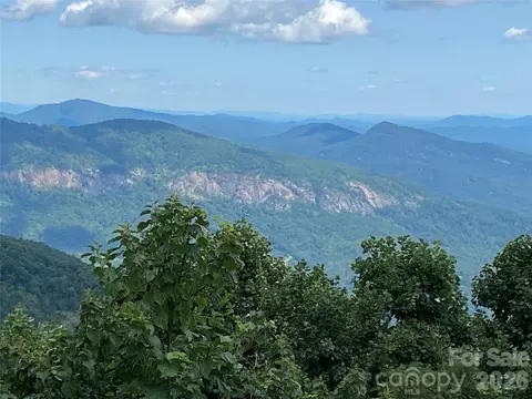 1170 Gabe Laugher Rd, Hendersonville, NC 28792