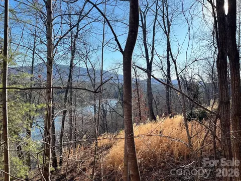 Mountain Parkway, Mill Spring, NC 28756 photo 8