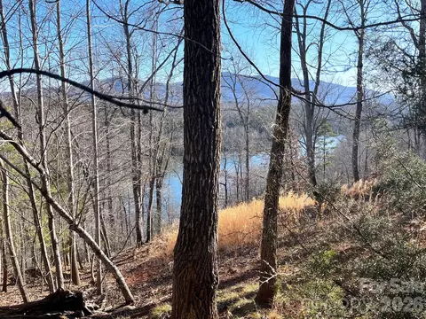 Mountain Parkway, Mill Spring, NC 28756 photo 7