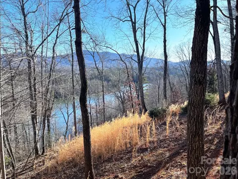 Mountain Parkway, Mill Spring, NC 28756 photo 6