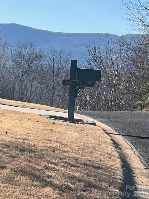 Mountain Parkway, Mill Spring, NC 28756 photo 4