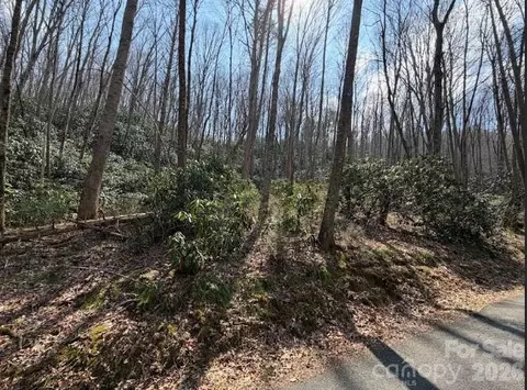 Coyote Hollow 66 Road #66, Waynesville, NC 28785
