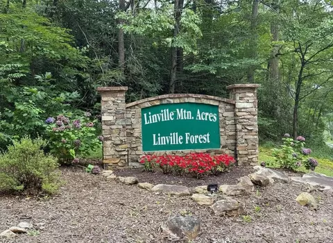 69 Linville Drive #69, Marion, NC 28752