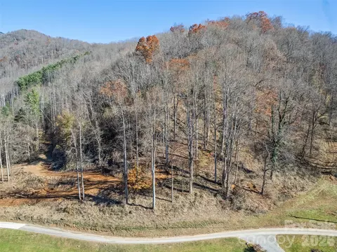 White Birch Drive, Sylva, NC 28779 photo 3