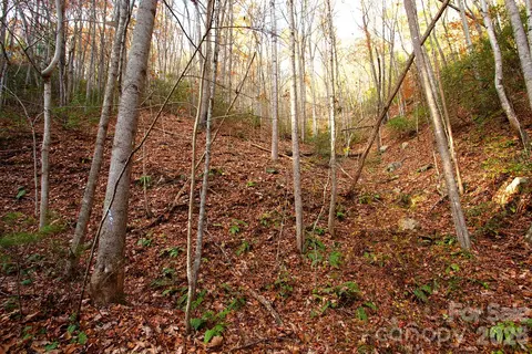 Rector Branch 4 Road #4, Marshall, NC 28743