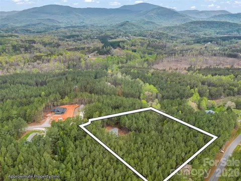 View/Area - 120 Ashley Ct, Mill Spring, NC 28756 photo 2 of 5