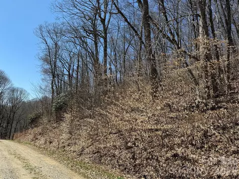 000 Granny Shepherd Lot 2 Rd #LOT 2, Mars Hill, NC 75497
