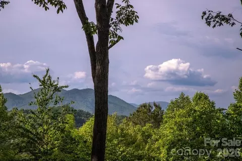 339 Honey Locust 9 Trl #9, Whittier, NC 28789