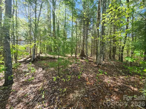 889 Firefly Trl, Marshall, NC 28753 photo 9
