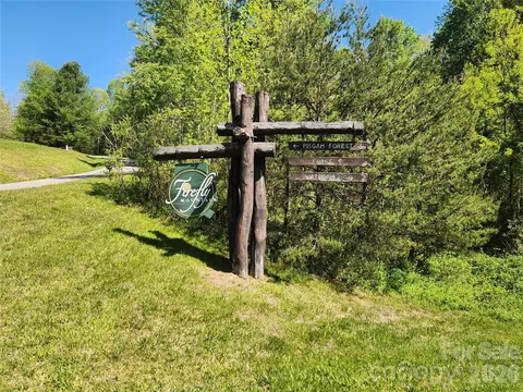 889 Firefly Trl, Marshall, NC 28753 photo 14
