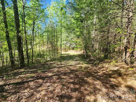 889 Firefly Trl, Marshall, NC 28753 photo 18