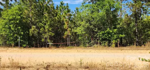 1050 Mcqueen Rd, Patrick, SC 29584 photo 30