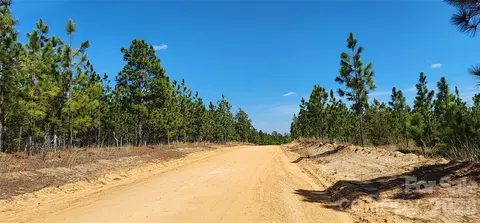 1050 Mcqueen Rd, Patrick, SC 29584 photo 34