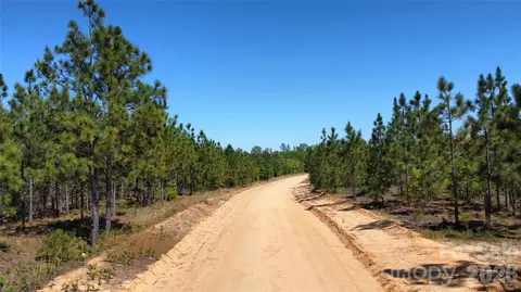1050 Mcqueen Rd, Patrick, SC 29584 photo 4