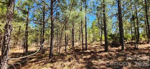 1050 Mcqueen Rd, Patrick, SC 29584 photo 19