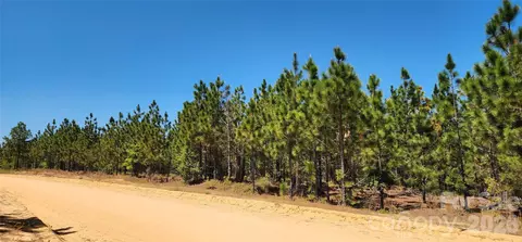 1050 Mcqueen Rd, Patrick, SC 29584 photo 12