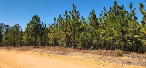1050 Mcqueen Rd, Patrick, SC 29584 photo 17