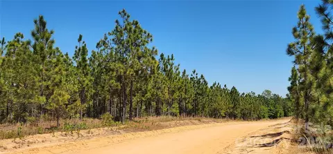 1050 Mcqueen Rd, Patrick, SC 29584 photo 16