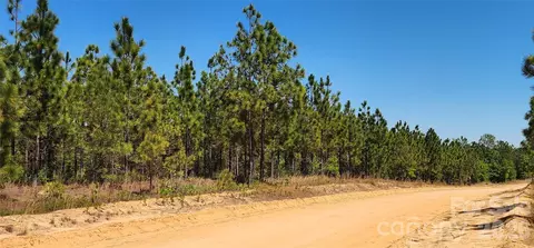 1050 Mcqueen Rd, Patrick, SC 29584 photo 15