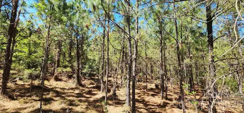 1050 Mcqueen Rd, Patrick, SC 29584 photo 14