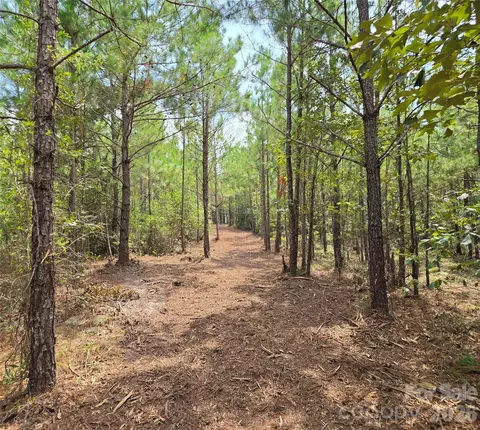 1050 Mcqueen Rd, Patrick, SC 29584 photo 37