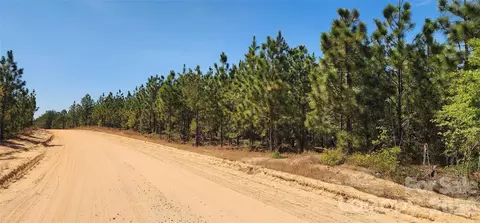1050 Mcqueen Rd, Patrick, SC 29584 photo 32