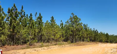 1050 Mcqueen Rd, Patrick, SC 29584 photo 18