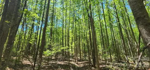 1050 Mcqueen Rd, Patrick, SC 29584 photo 37