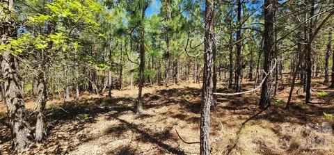 1050 Mcqueen Rd, Patrick, SC 29584 photo 20