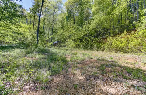 Apgar Road, Candler, NC 28715